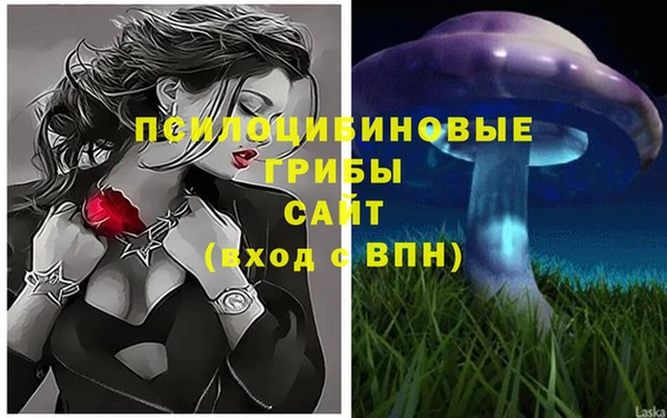 твердый Каменск-Шахтинский