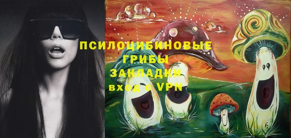 твердый Каменск-Шахтинский