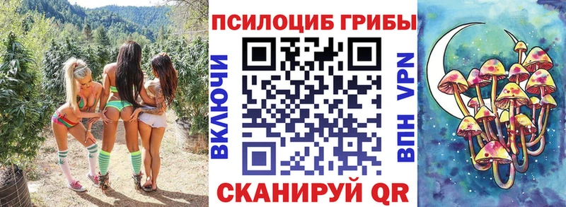Купить закладки  Гулькевичи  Галлюциногенные грибы мицелий 